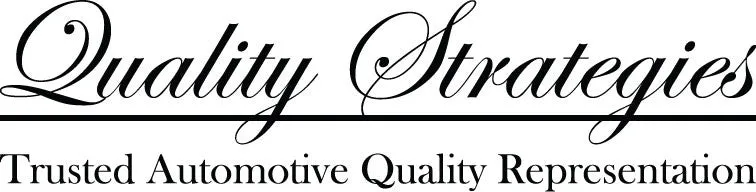 Custom Vest Order - Quality Strategies Incorporated - Reprint